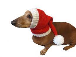 Santa Hat For Dog Christmas Santa Hat For Dog Santa Hat For Etsy In 2021 Dog Hat Dog Sweaters Christmas Dog