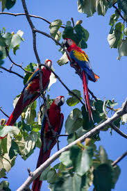 San jose is located in central costa rica. San Jose Costa Rica Das Sind De Coolsten Ecken Der Stadt