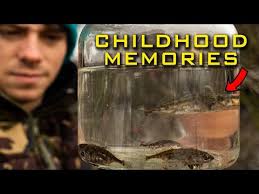 Fiskevideoer tagget med rovfisk