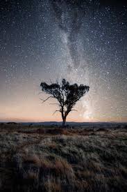 Starry Nights In Wagga Wagga Australia 1000x1500px Tyherone Https Ift Tt 2rh5shf Novem Mountain Landscape Photography Night Landscape Landscape Photography