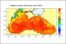 Mareele sunt în general de mică amploare (cca. Marea NeagrÄ Itinerarii Pontice