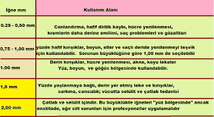 Dermaroller Kullanmak Isteyenlere Rehber Aysenur Yazici Bedava Hayat Dersleri