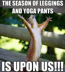 Tis The Season For Leggings And Yoga Pants Happy Squirrel Animals Cute Animals