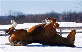 Rezultat iskanja slik za sneg slike