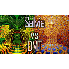 Dmt in its pure form must be administered either by vaporization or smoking. Psychonauten Info Podcast Player Horbucher Zum Herunterladen