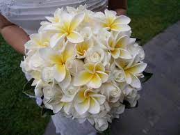 Frangipani Flower Bouquet Wedding Wedding Bouquets Wedding Flowers