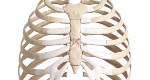 Associated symptoms may include pain in the shoulder, arm, upper abdomen, or jaw, along with nausea, sweating, or shortness of breath. Bruised Sternum Sternum Fracture Symptoms Causes Treatment