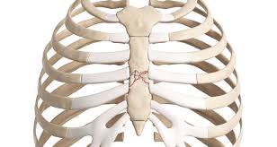 Associated symptoms may include pain in the shoulder, arm, upper abdomen, or jaw, along with nausea, sweating, or shortness of breath. Bruised Sternum Sternum Fracture Symptoms Causes Treatment