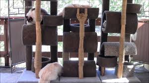 Your lucky kitty will have a sturdy yet sleek space to nap, play, and exercise. How To Build A Six Foot Cat Tree Youtube