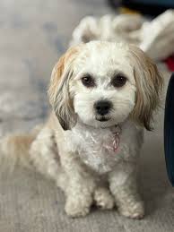 Thumbelina says hi 👋 ☺️