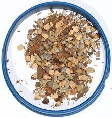 Succulents love soil that drains fast and provides good aeration. Bonsai Jack Succulent And Cactus Soil Jacks Gritty Mix 111 2 Quarts Fast Draining Fight Root Rot Optimized Ph Bonsai Jack C