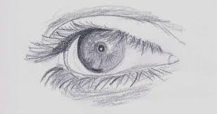Today We Are Listing 5 Best Pencil Drawing Tutorial Video Series Available On The Web Quali Realistic Pencil Drawings Pencil Drawing Tutorials Pencil Drawings