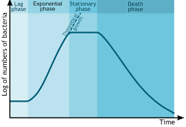 Microbial Growth Boundless Microbiology