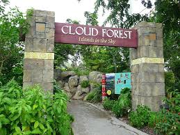 Entrance To The Cloud Forest Section Of The Amazon And Beyond Exhibit Zoo Miami Miami Florida Miami Attractions Miami Zoo