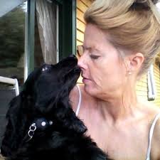 Bokanbefalinger for Syv opp og en i mente av Dominic Devine