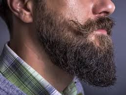 Check spelling or type a new query. The Long Goatee With Short Beard Pictures Benefits Ready Sleek