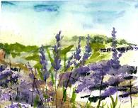 Blanco Lavender Festival — Science Mill