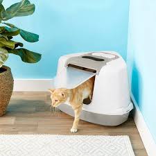 Frisco Flip Top Hooded Corner Cat Litter Box Large 21 In Chewy Com Cat Litter Box Cat Litter Litter Box