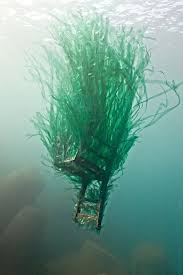 Pin By Harry Potamus On The Naughty Chair Underwater Sculpture Ocean Pollution Underwater