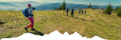 Pensiune vatra dornei ieftină de la 40 lei/pers. 11 Pensiuni Din È›ara Dornelor Care AcceptÄƒ Vouchere De VacanÈ›Äƒ