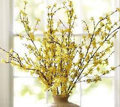 Faux Forsythia Branch Potterybarn Need Some Yellow In My Livingroom April Flowers Spring Arrangements Artificial Flowers