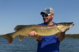 Plus, find fishing gear reviews, tactics, and more. Pike Length To Weight Conversion Chart