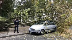 Check spelling or type a new query. Laon Un Arbre Tombe Sur Une Voiture En Stationnement