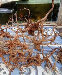 Cara Membuat Kayu Hiasan Aquascape Cantik Binatang Peliharaan