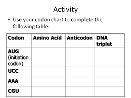 protein synthesis ppt download