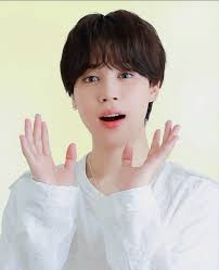 BTS army 💜 (@BTSfangirl790)