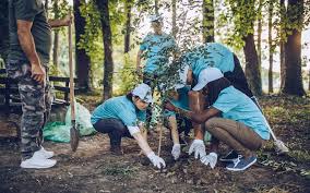 Tree Plantation Drive