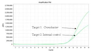 Bam Cronobacter Fda