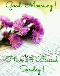 Let me hear in the morning of your steadfast love, for in you i trust. Sunday Good Morning Wishes Images