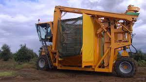 G10 Gregoire Machine A Recolter Les Olives Youtube