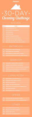 home cleaning panosundaki pin
