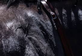 Kentucky Oaks 2022: Photos amid wet Louisville weather