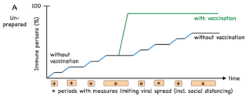 Mrna vaccines are a new type of vaccine and there is currently no successful example of them being used in the population, prof luo adds. Vaccines Free Full Text Covid 19 Mechanisms Of Vaccination And Immunity Html