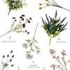 Get the best deals on white wedding flowers. 1