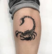Whether you are a h@rdcore tattoo lover or newbie in the world of tattoo you surely will be confused about the tattoo design that you wish to have with your brother or sister. 100 Best Tattoo Designs And Symbols For Men Women 2021