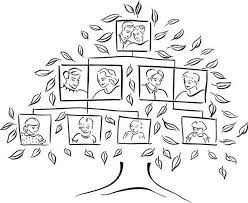 The child can draw a picture of each family member in the space provided. Family Tree Family Tree Template Family Tree Project Family Tree