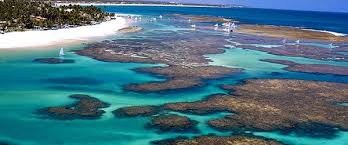 Porto de galinhas está localizada a aproximadamente 55 quilômetros da capital recife, onde fica o. Porto De Galinhas Onde Fica O Que Fazer E Onde Se Hospedar Os Melhores Resorts Do Brasil Elite Resorts