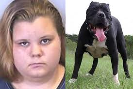 All'inizio minni capisce poco, ma dopo qualche partita è tutto chiaro. Assurde Perversioni 18enne Obbligava Il Cane A Fare Sesso E Quei Selfie Caffeina Magazine