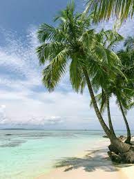 Maybe you would like to learn more about one of these? Beach Wallpapers Free Hd Download 500 Hq Unsplash