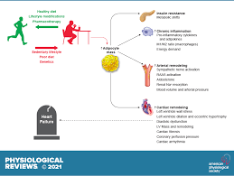 Get expert tips on health, love, sex, and anything else you need to live a full and healthy life. Physiological Reviews