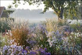 Naturgarten Natural Garden Garden Images Landscape Design