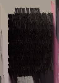 A Maze family history : the descendants of Samuel Nesbit Maze]