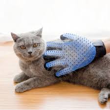 Dog grooming service dog training centre dog hostaling services available for more information please contact us the royal pets shop nashik. Pet Grooming Glove For Cat Dog House Massage Combs