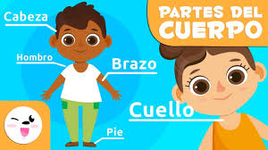 Juegos digitales interactivos para educación infantil 3 años. Las Partes Del Cuerpo Humano Para Ninos Videos Educativos Para Ninos Youtube