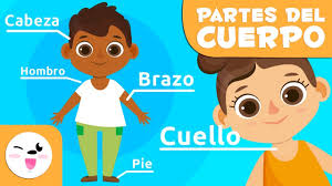 Con canva el diseño es súper fácil para todos. Las Partes Del Cuerpo Humano Para Ninos Videos Educativos Para Ninos Youtube