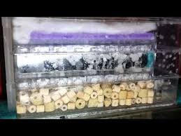 Diy Trickle Filter Youtube Aquarium Design Fish Tank Tanked Aquariums